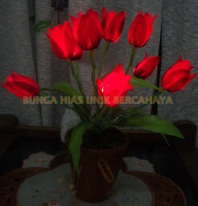 Bunga Tulip Merah Bercahaya